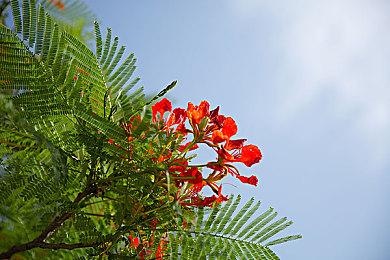 网易射击游戏《漫威争锋》新地图预告：东京2099